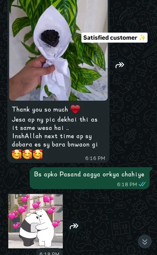 WhatsApp chat: customer thanks Flora for a single dark satin rose bouquet